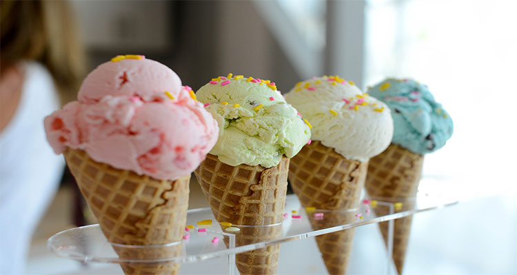 انواع بستنی ساز