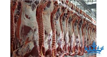 سردخانه گوشت، ساخت سردخانه مخصوص نگهداری گوشت
